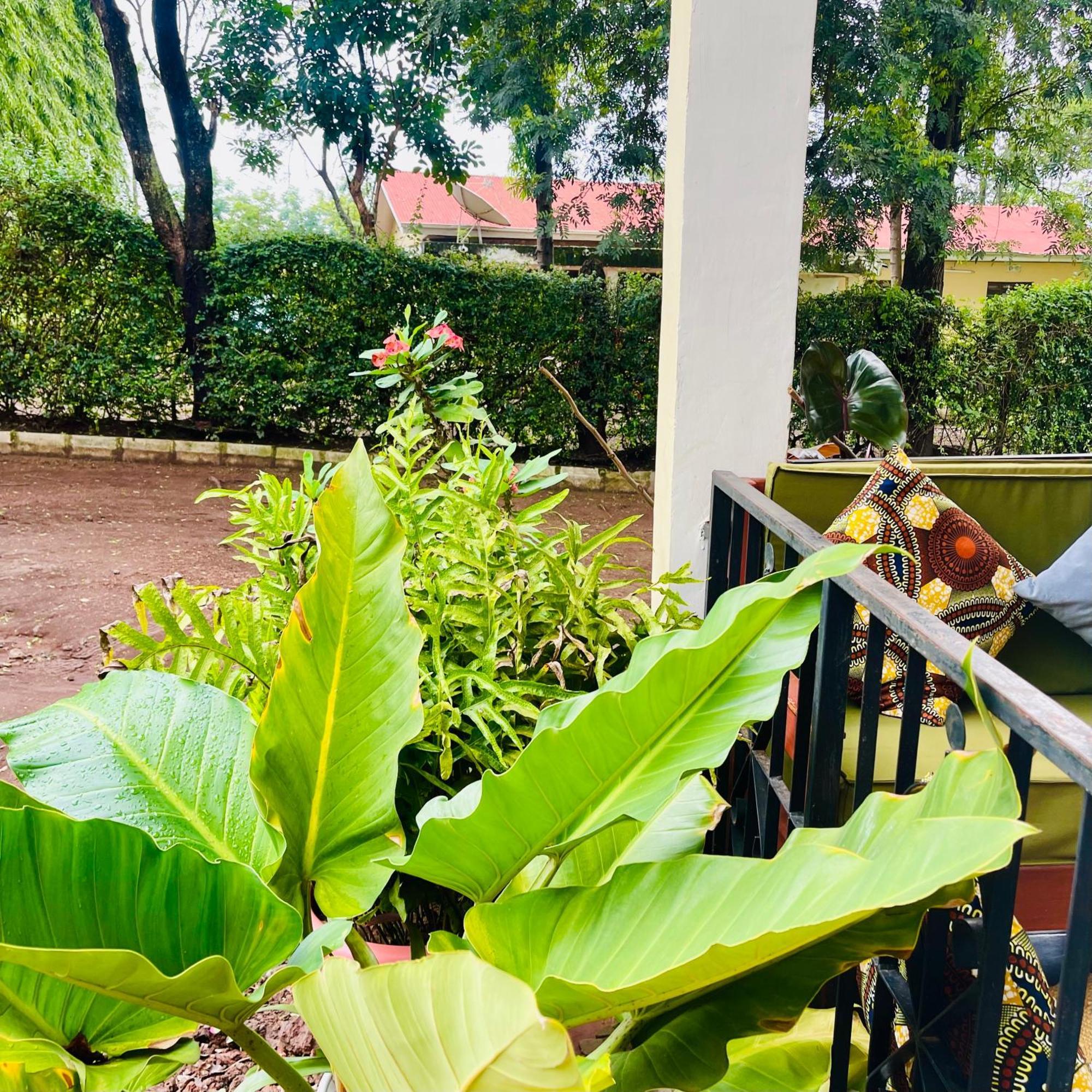 Sophie Homestay Moshi Exterior foto